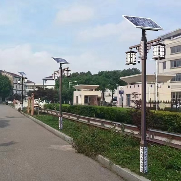 山东黄瓜下载APP最新版官方下载厂家直销