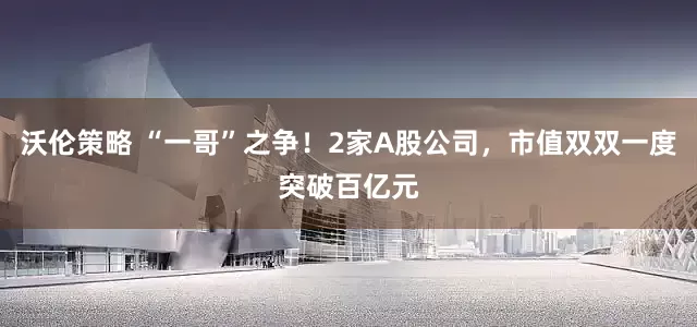 沃伦策略 “一哥”之争！2家A股公司，市值双双一度突破百亿元