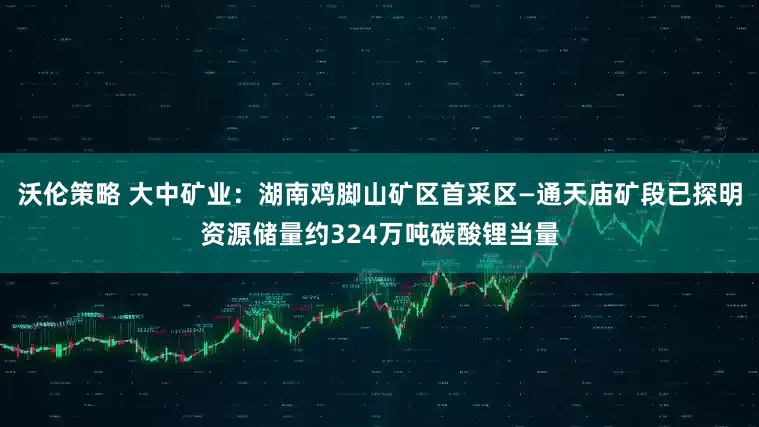 沃伦策略 大中矿业：湖南鸡脚山矿区首采区—通天庙矿段已探明资源储量约324万吨碳酸锂当量