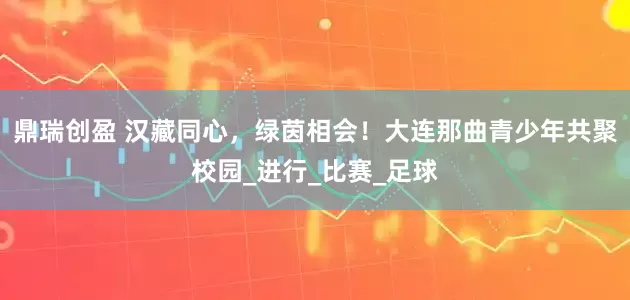 鼎瑞创盈 汉藏同心，绿茵相会！大连那曲青少年共聚校园_进行_比赛_足球