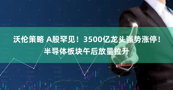 沃伦策略 A股罕见！3500亿龙头强势涨停！半导体板块午后放量拉升